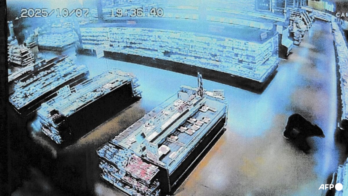 Japan vows tougher measures after record bear attack deaths Japan vows tougher measures after record bear attack deaths