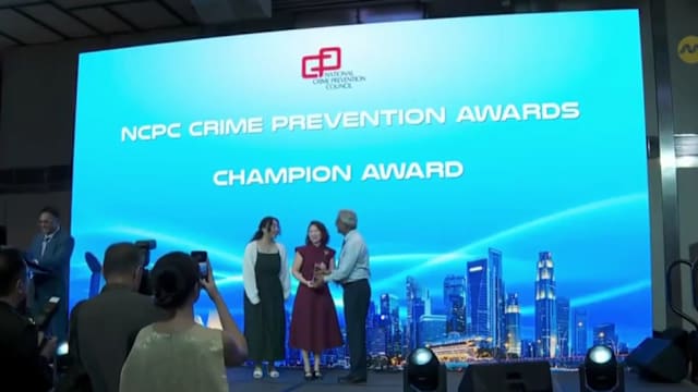 在维护新加坡安全方面做出贡献 十家机构获表彰