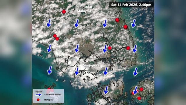 环境局：空气质量处于良好到中等水平 未来几天料迎来更多降雨