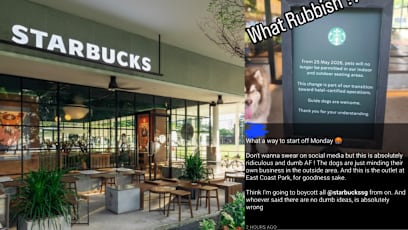 Dogs No Longer Allowed At Starbucks From May 25? East Coast Park Outlet Sparks Backlash Over Impending Pet Ban