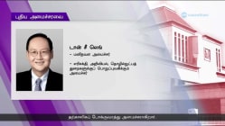 Related article image
