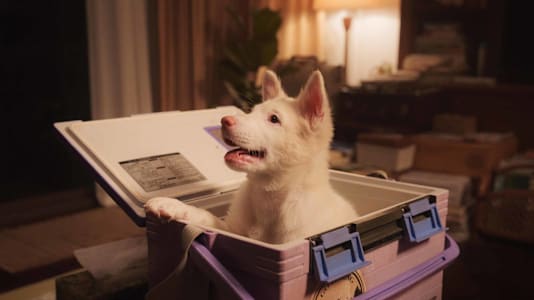 Gohan Review: Bring Tissues For This Heartwarming Thai Drama About A Stray Dog