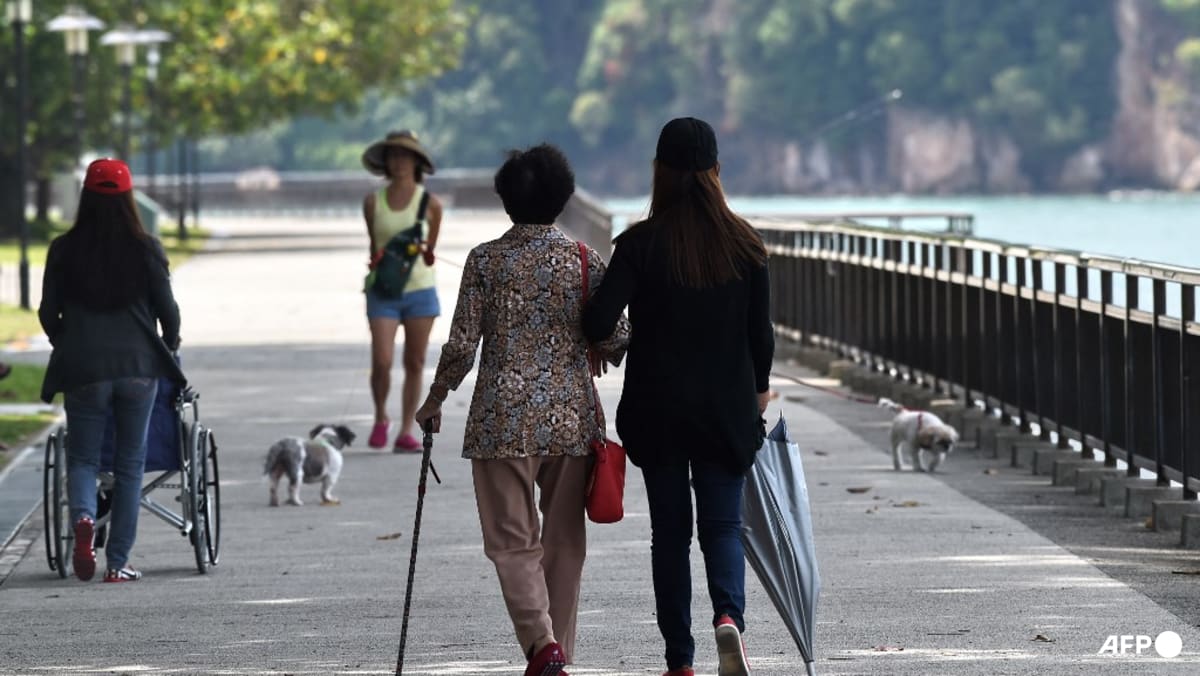 Commentary: Frailty is often overlooked in discussions about growing ...