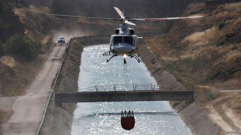 Northeast Spain wildfire destroys over 12,000 hectares: Regional authorities