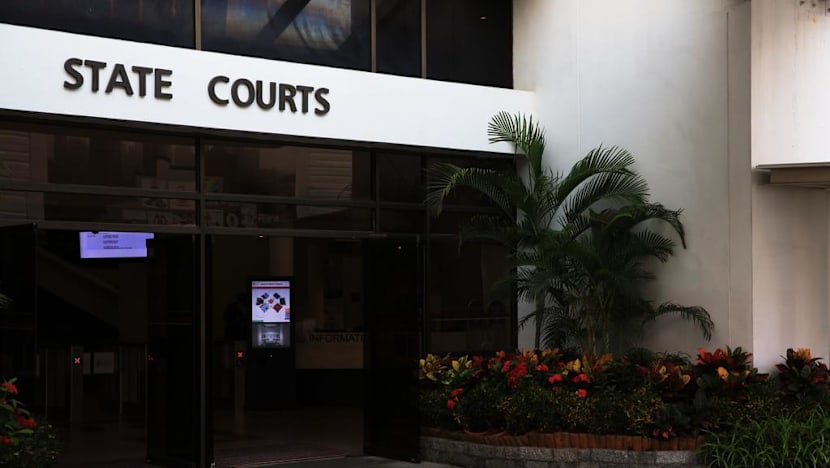 Jail for serial offender who molested women while cycling, stole foreign workers’ iPhones
