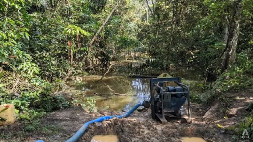 Fallen trees, muddy waters: Cyclists concerned about flooded Bukit Timah bike trail amid bad weather Fallen trees, muddy waters: Cyclists concerned about flooded Bukit Timah bike trail amid bad weather