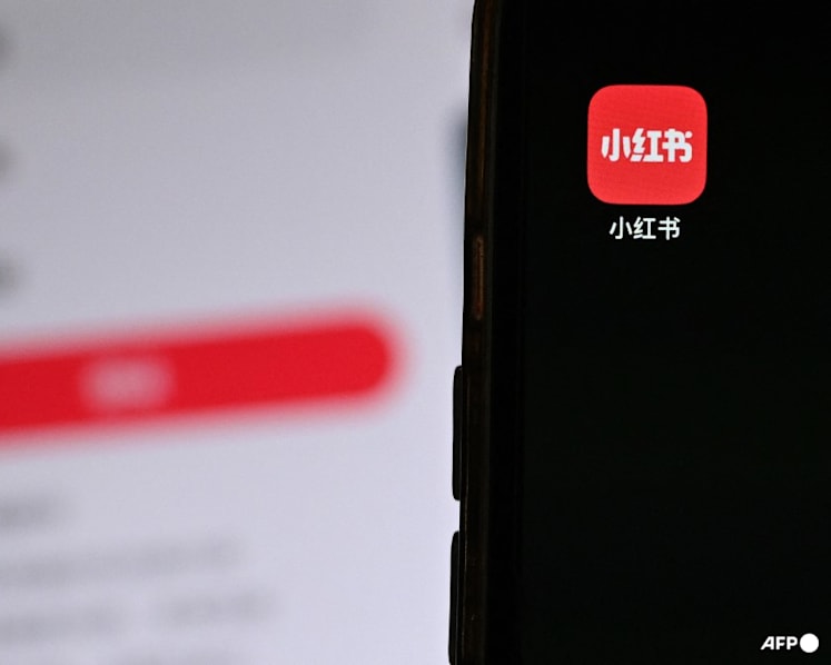 China says it is combating 'malicious' content in two-month social media crackdown
