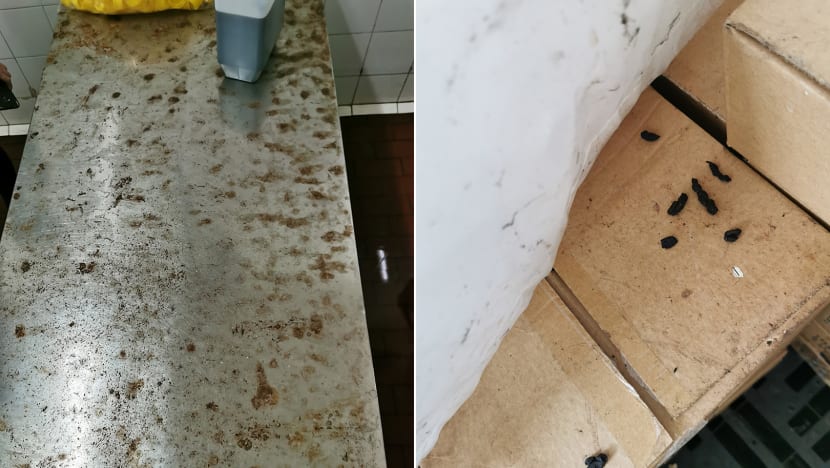 Food processing company fined S$15,000 after rat droppings found in storage, processing areas
