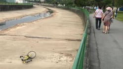 Related article image