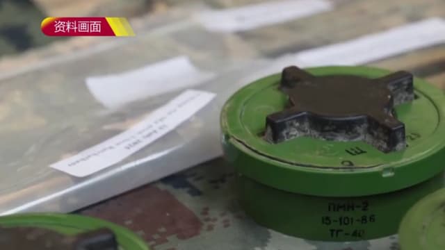 泰国呼吁国际社会敦促柬埔寨 合作清除边境地雷