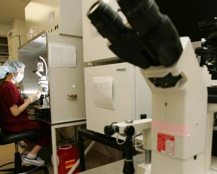 ‘Doing it for myself’: The women freezing their eggs to raise their chances of conceiving