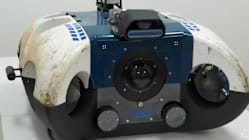 Related article image