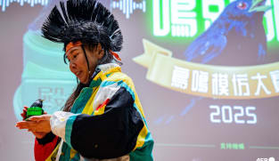 Bird call contest boosts conservation awareness in Hong Kong's concrete jungle
