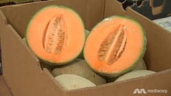 Related article image