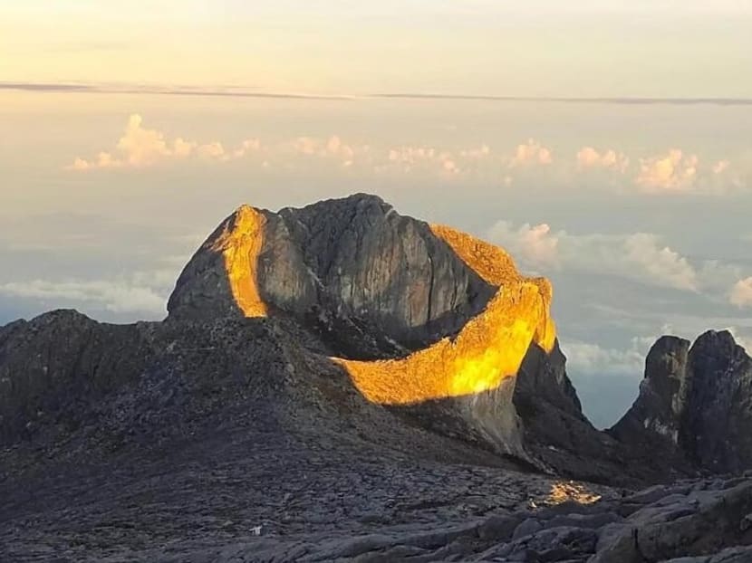 The image of the "golden halo" has been variously described as a necklace and a golden dragon.