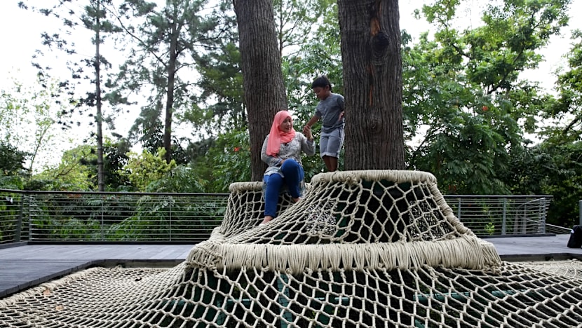 Century-old forest at Botanic Gardens opens