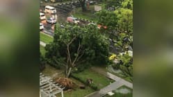 Related article image