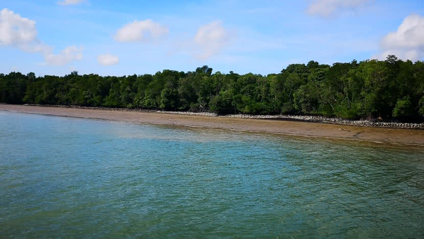 Coastal protection projects to build resilience of Singapore’s coastlines at Pulau Ubin