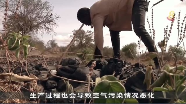 全球原油价格飙涨 各国政府民众想尽办法寻求能源替代方案