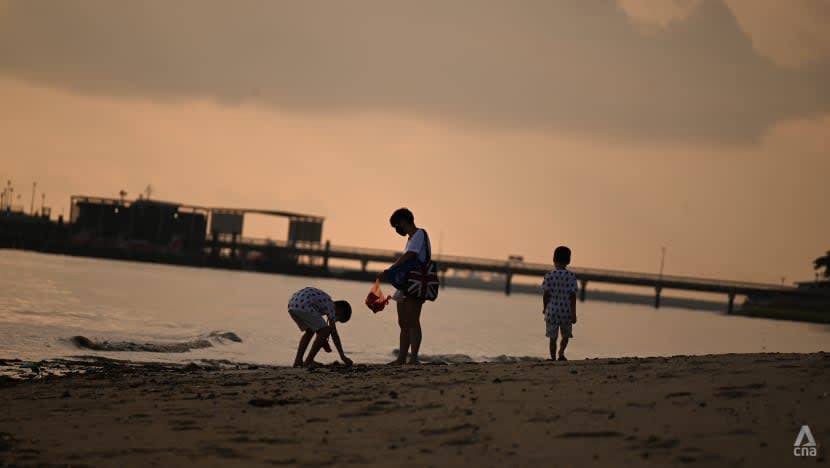 Pengunjung ke pantai diingatkan supaya tidak kumpul, sentuh hidupan liar di zon pasang surut: NParks