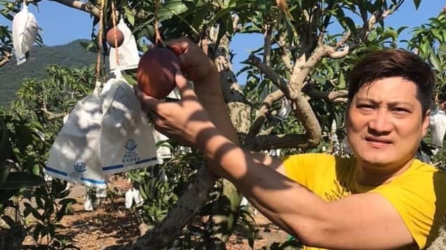 芒果才刚收割　“芒果王子”杨哲马不停蹄来新为慈善献力