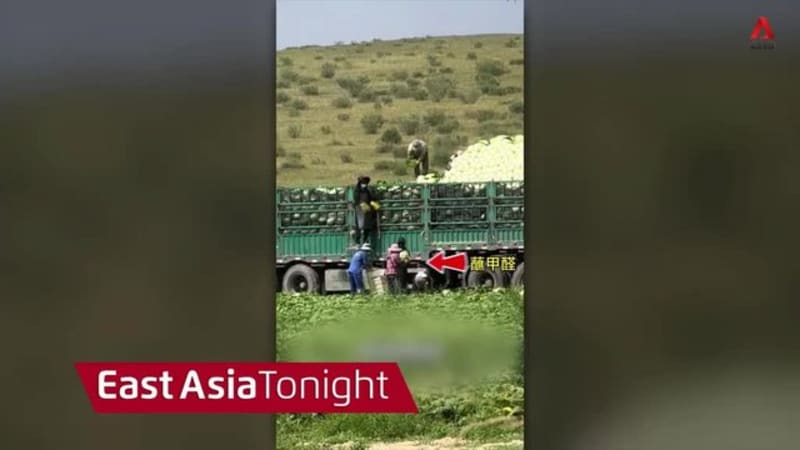 East Asia Tonight - Wed 26 Aug 2026