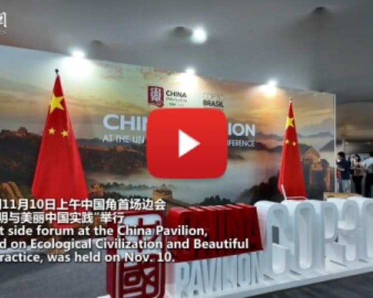 China highlights green achievements at COP30 side session