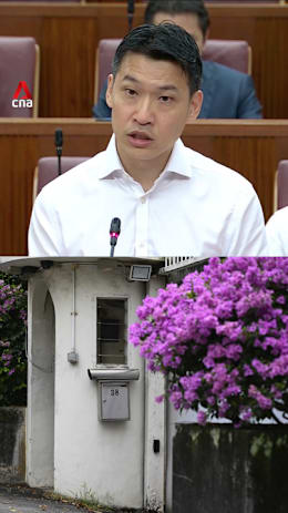 'Time is now' to decide on 38 Oxley Road site: David Neo