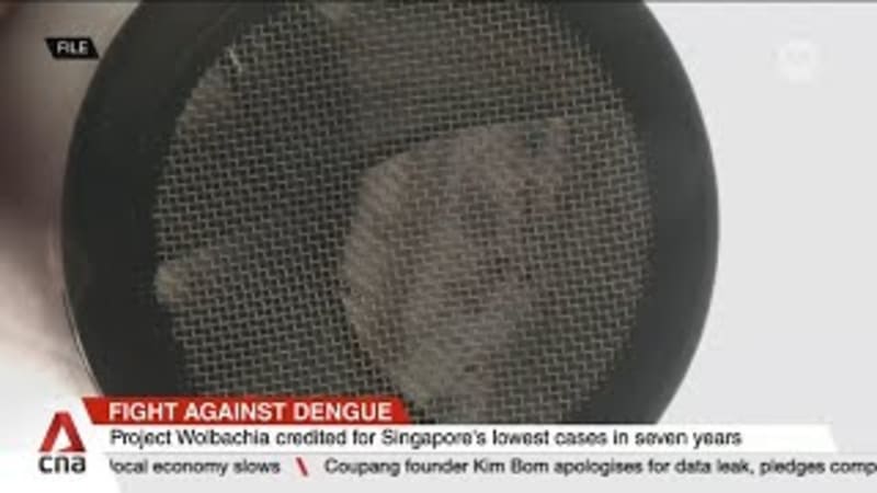 Dengue cases plunge to 7-year low  
