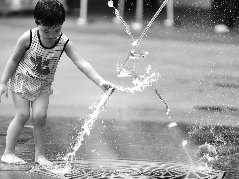 According to the experts, there are many innovative ways in which cities are starting to reduce consumption, and Singapore needs to look at new models. TODAY FILE PHOTO