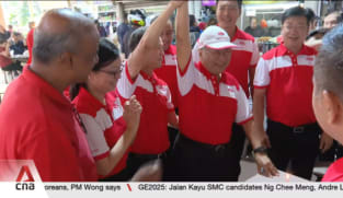 GE2025: PSP says its policies can take party beyond founder Tan Cheng Bock's legacy
