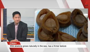 What's Coming Up - Talking Point On Why Abalone Is So Expensive