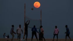 Related article image