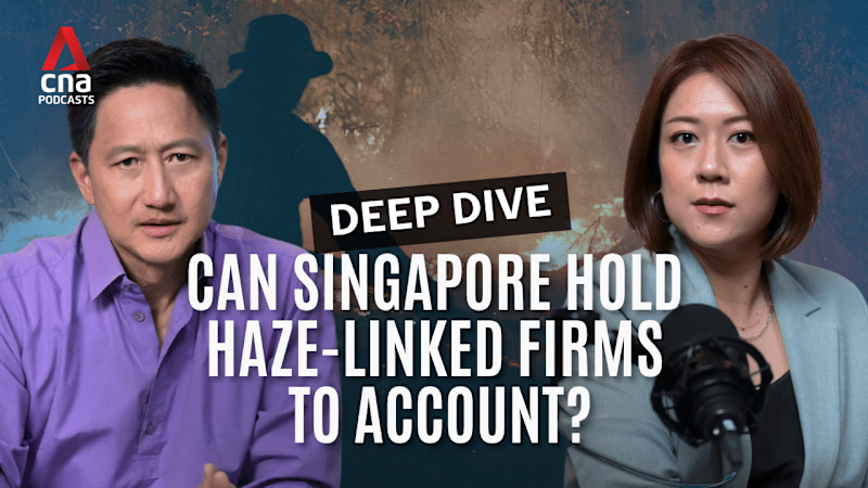Deep Dive - Making companies behind the haze pay: Can Singapore succeed?