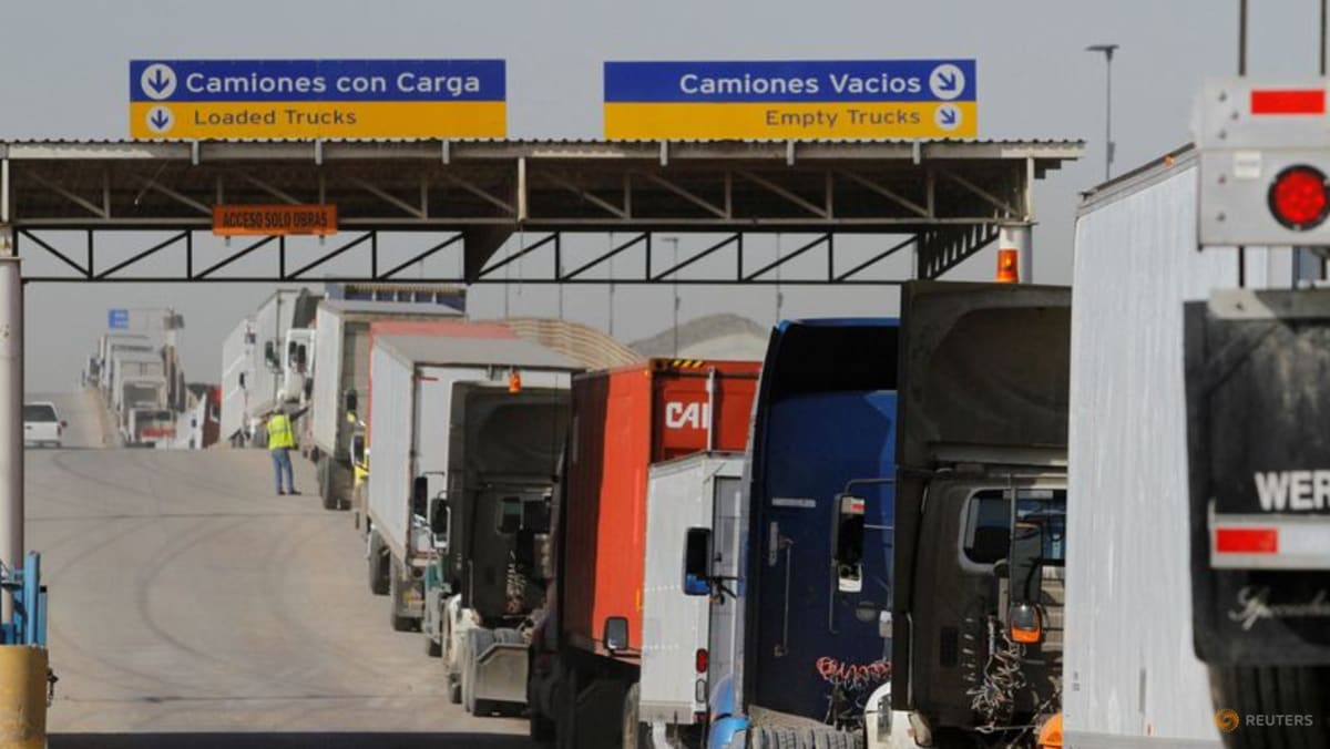 Full impact of US tariff shock yet to come as growth holds up, OECD says
