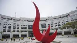 Related article image
