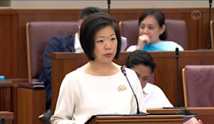Sim Ann on foreign organisations that may pose concerns to Singapore’s national security 