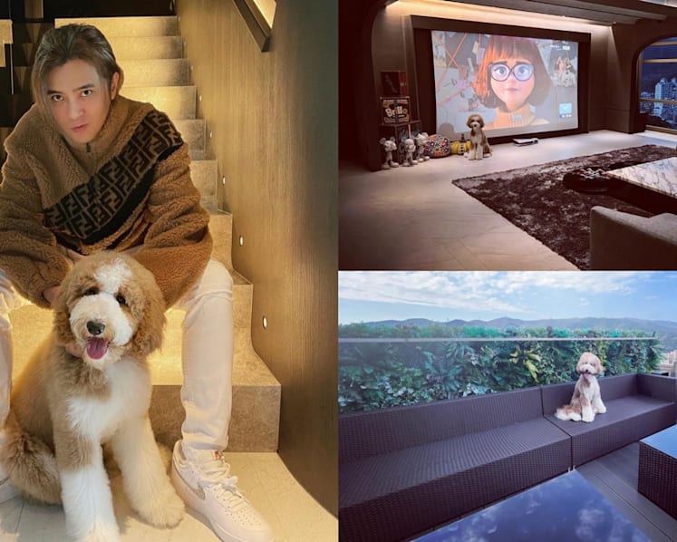 Show Luo’s Living Room Is So Big, Netizens Say It Looks More Like A Movie Theatre