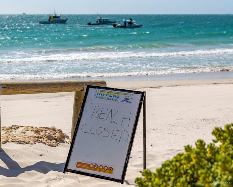 Rescuers in west Australia search for man attacked by sharks