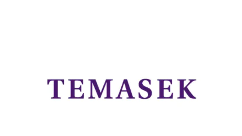 Temasek pelabur terkini hapus kira pendanaan $275 juta selepas FTX jatuh muflis Temasek pelabur terkini hapus kira pendanaan $275 juta selepas FTX jatuh muflis