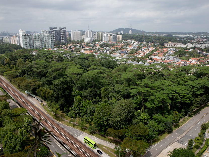 The Big Read in short: Preservation vs development — time for a new take on an old debate?