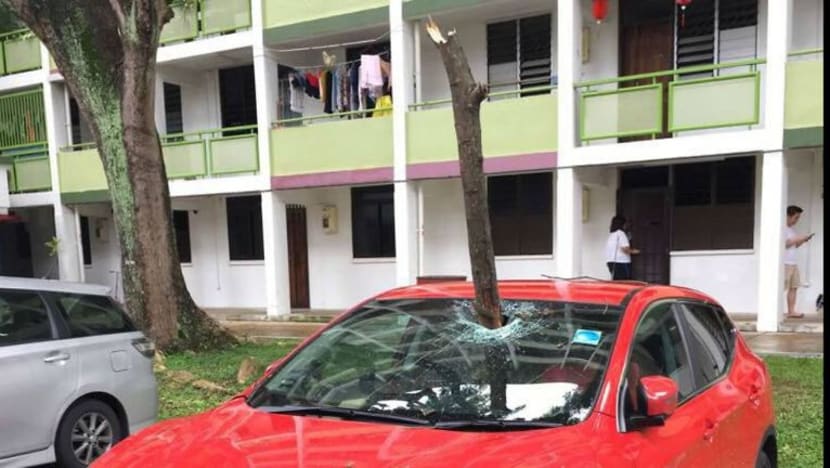 Ranting pokok terpacak pada cermin kereta di Jalan Bukit Ho Swee