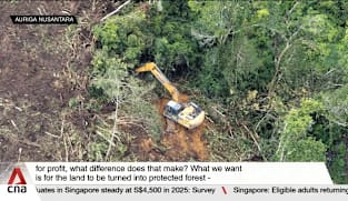 Natural disasters, illegal logging blamed for ecological crisis in Aceh