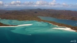 Related article image