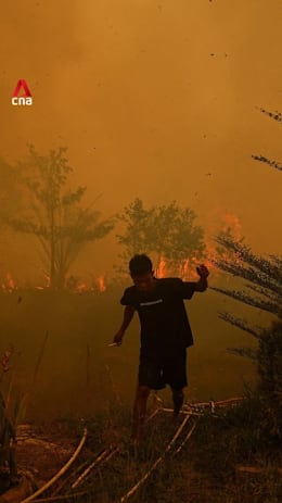 7 Singapore-listed companies questioned over possible links  to haze