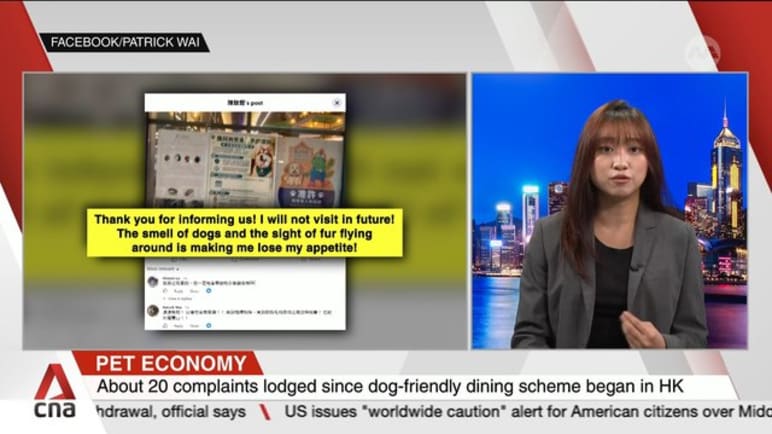 Dogs in restaurants? Viral backlash tests Hong Kong's pet-friendly push