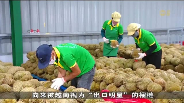 越南海关总署发出指令 要求简化农产品出口清关流程