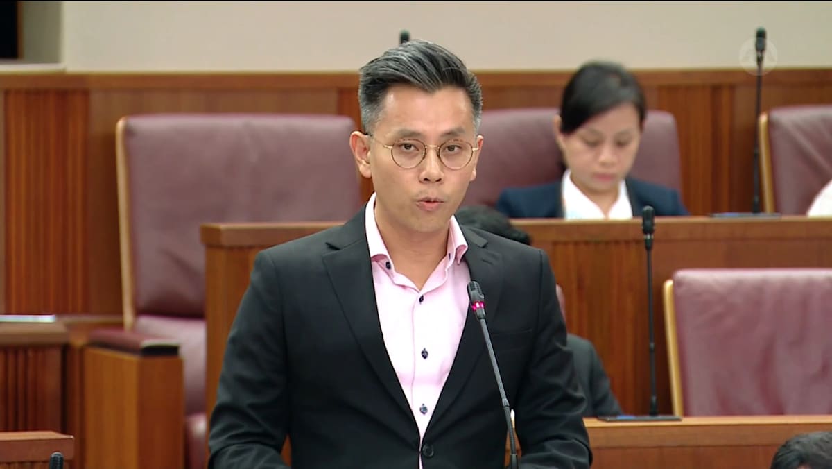 Ng Shi Xuan on Land Transport and Related Matters Bill - CNA