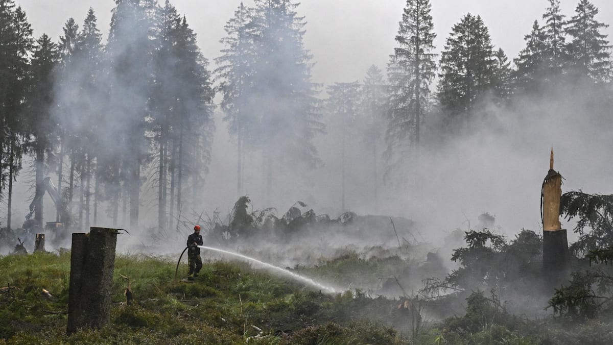 Firefighters in 'decisive' push to encircle Belgian wildfire