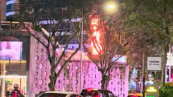 Related article image